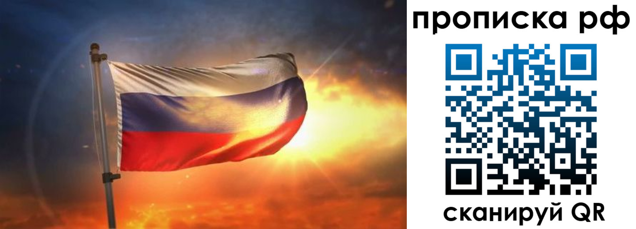 временная регистрация адрес в Курской области